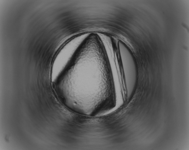 X0000091211228200709061433