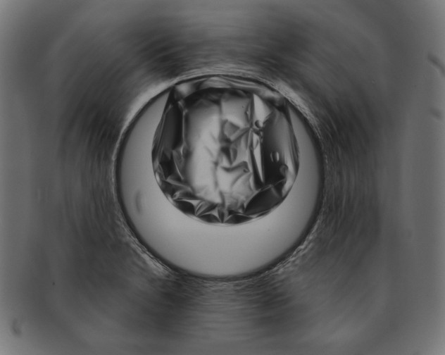 X0000091211230200709061433