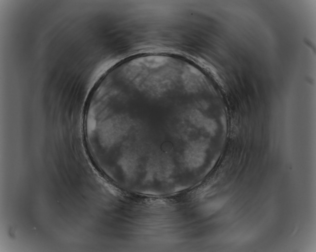 X0000091211231200709061433