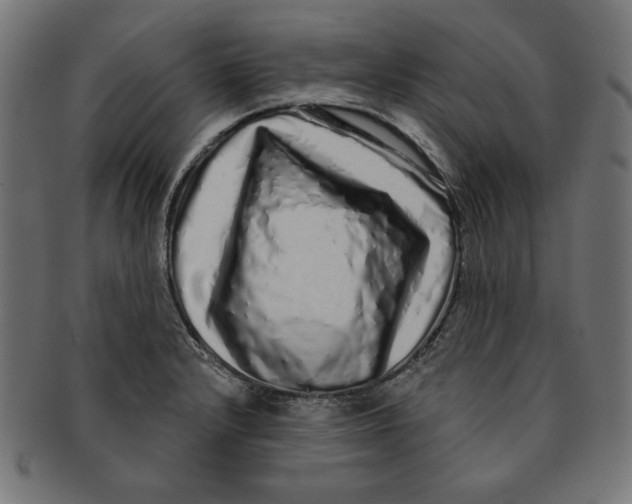 X0000091211232200709061433