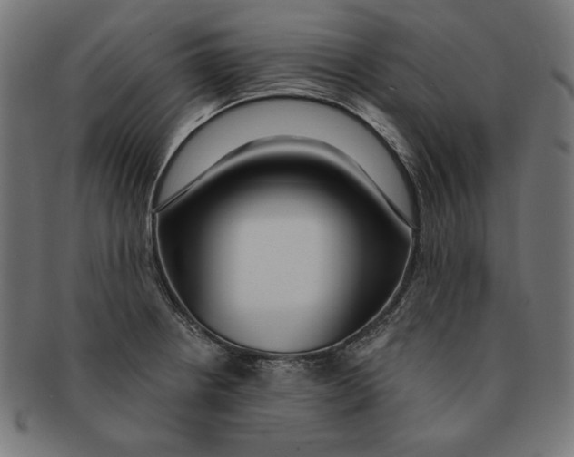 X0000091211234200709061433