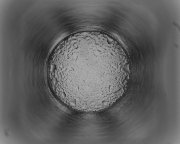 X0000091211235200709061433