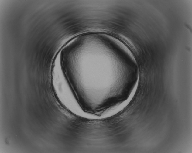 X0000091211236200709061433