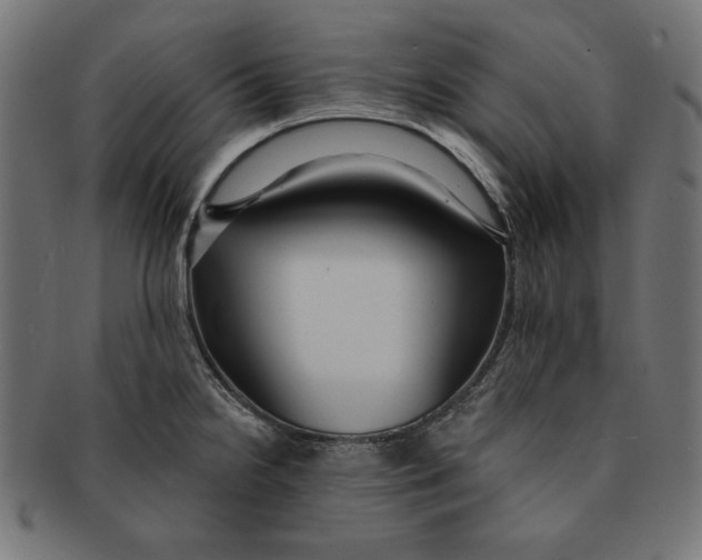 X0000091211238200709061433