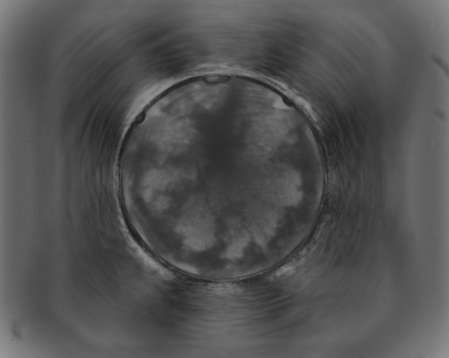 X0000091211239200709061433