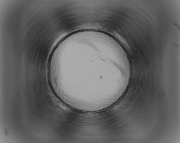 X0000091211240200709061433