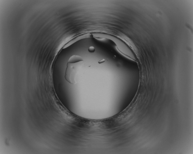 X0000091211242200709061433