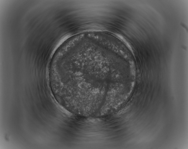 X0000091211243200709061433