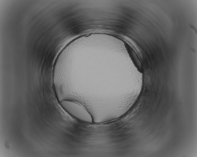 X0000091211244200709061433