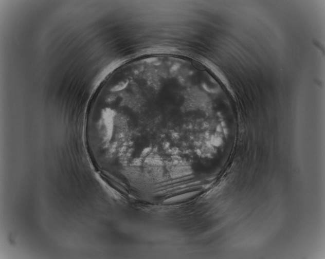 X0000091211245200709061433