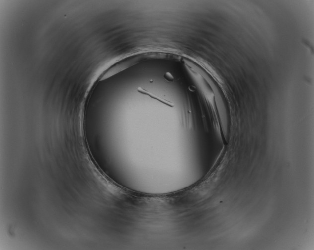 X0000091211246200709061433