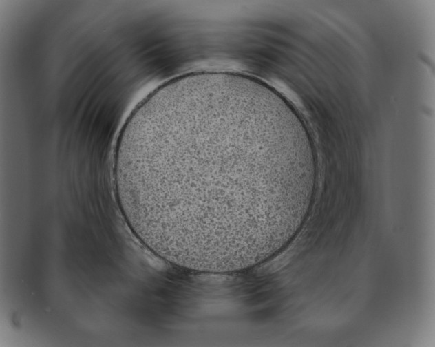 X0000091211248200709061433