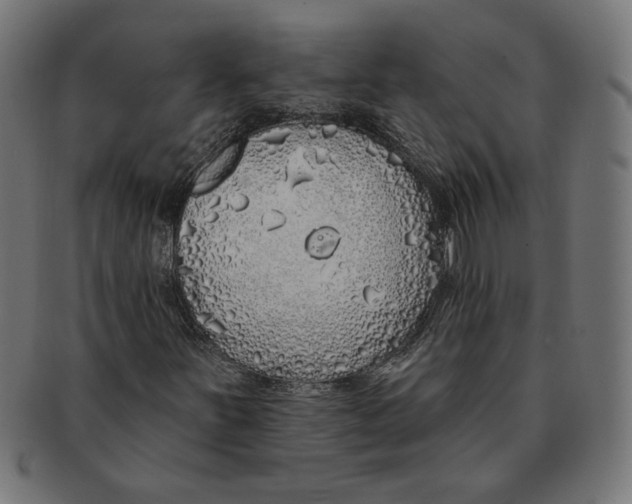 X0000091211251200709061433