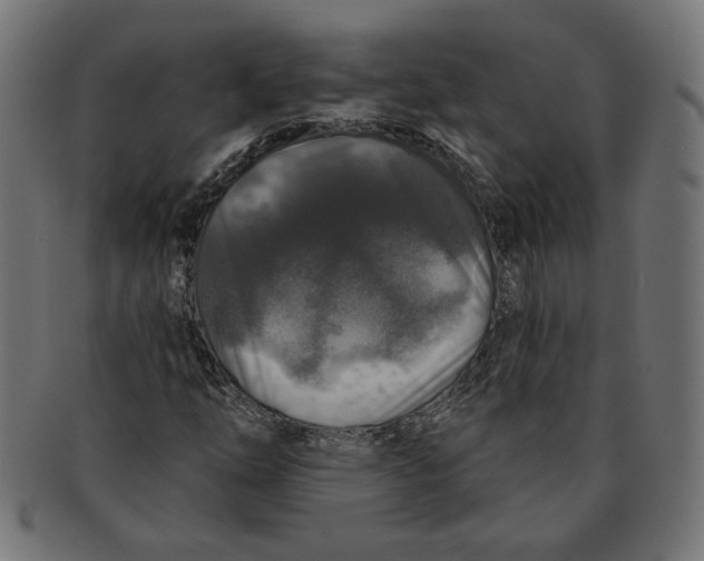 X0000091211254200709061432