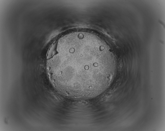 X0000091211255200709061432