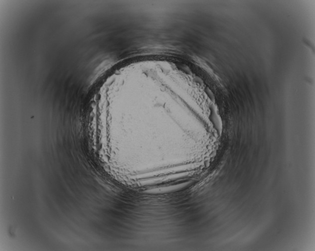 X0000091211259200709061432