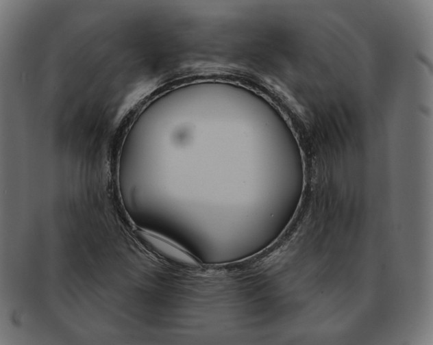 X0000091211261200709061432