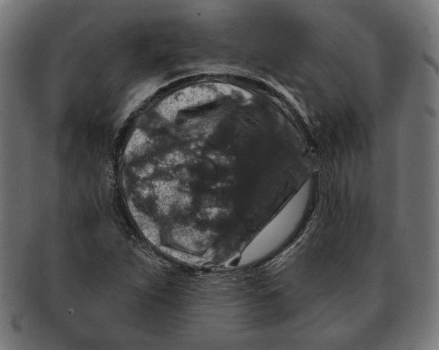 X0000091211263200709061432