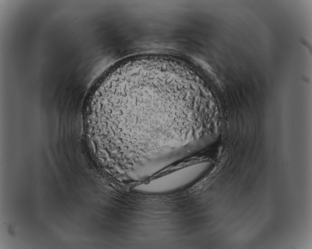 X0000091211267200709061432