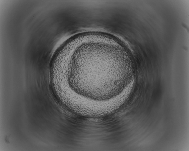 X0000091211271200709061432