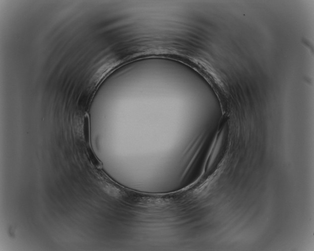 X0000091211273200709061432