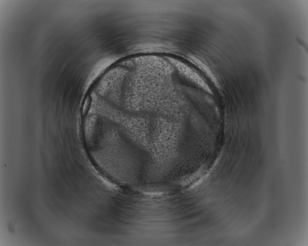 X0000091211277200709061432