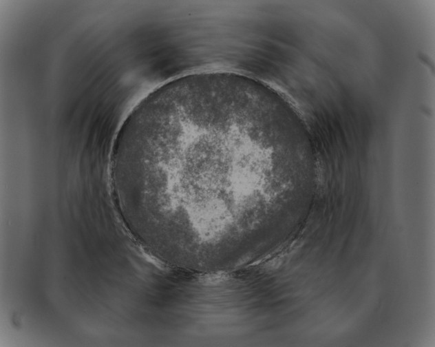 X0000091211278200709061432