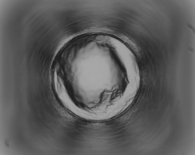 X0000091211280200709061432