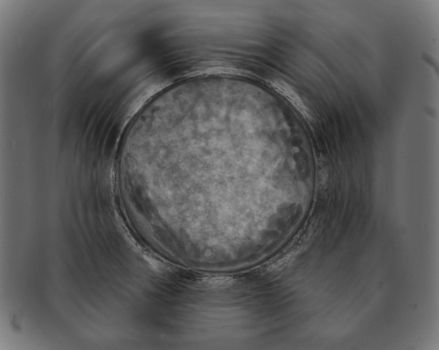 X0000091211282200709061432