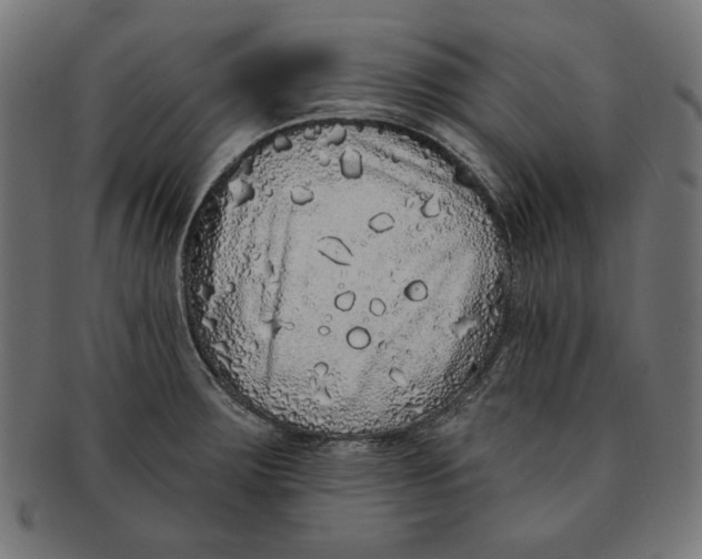 X0000091211283200709061432