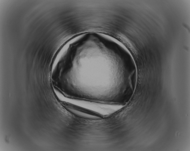 X0000091211284200709061432