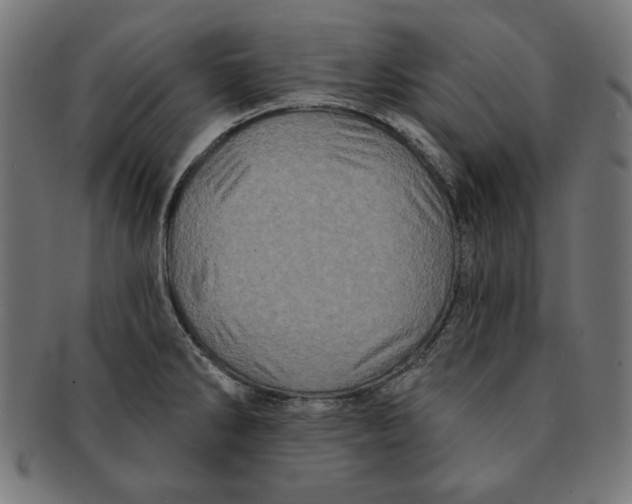 X0000091211286200709061432