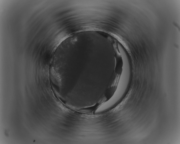 X0000091211289200709061432