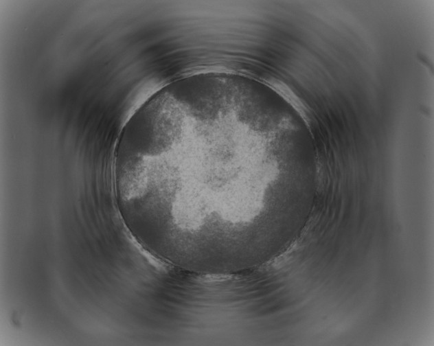 X0000091211290200709061432