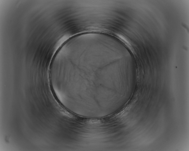 X0000091211291200709061432