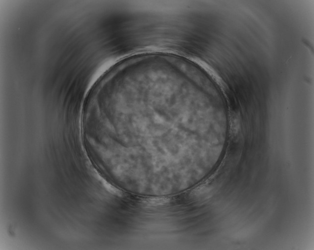 X0000091211294200709061432