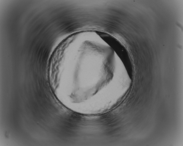 X0000091211296200709061432