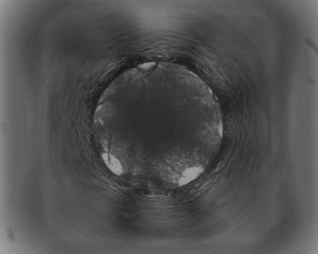 X0000091211297200709061431