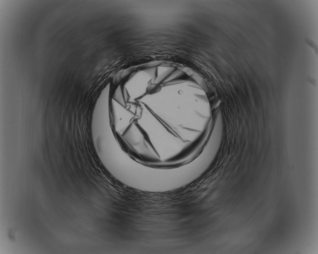 X0000091211298200709061431