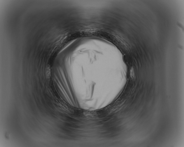 X0000091211299200709061431