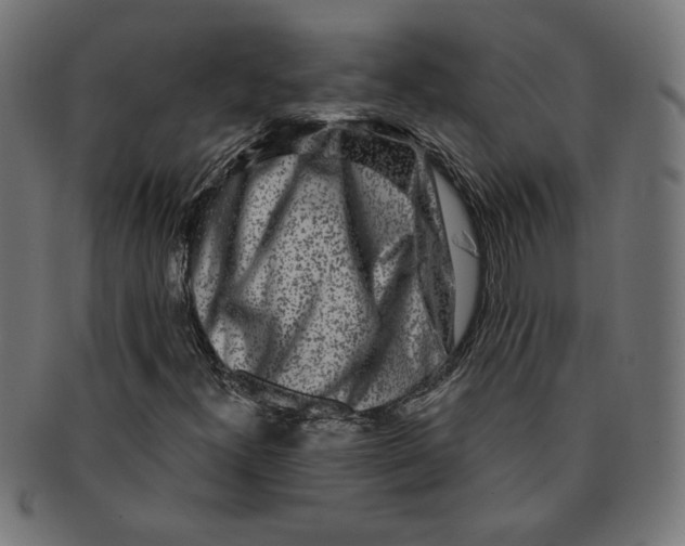 X0000091211300200709061431