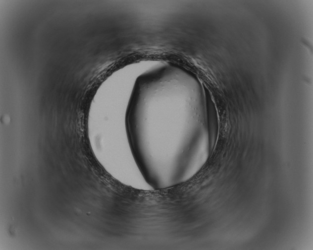 X0000091211301200709061431