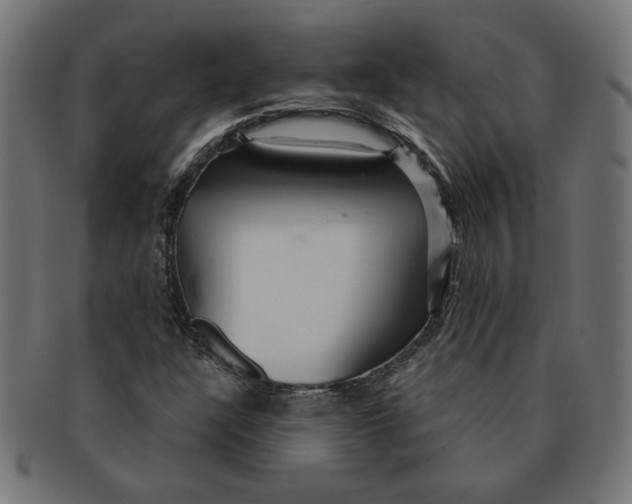 X0000091211304200709061431