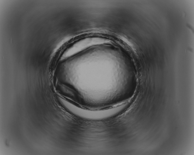 X0000091211310200709061432