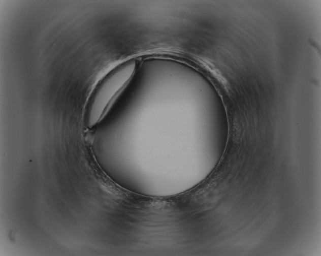 X0000091211316200709061432