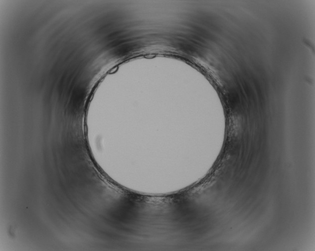 X0000091211322200709061432