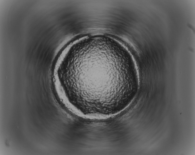 X0000091211325200709061432