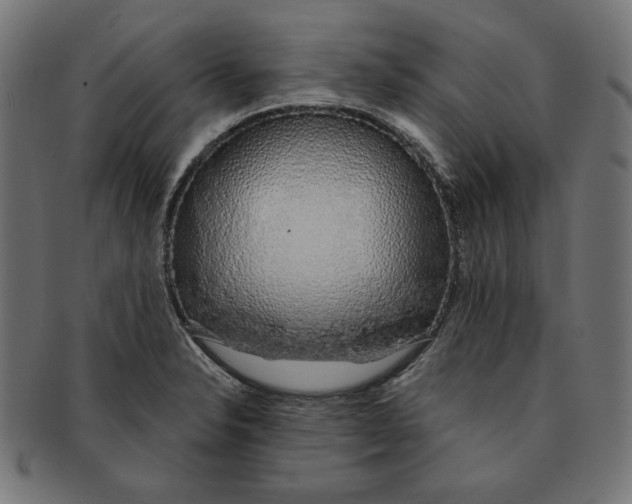 X0000091211326200709061432