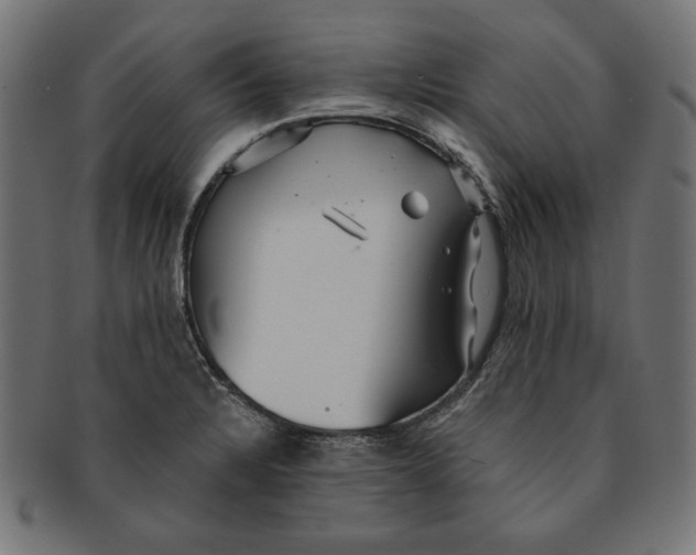 X0000091211328200709061432