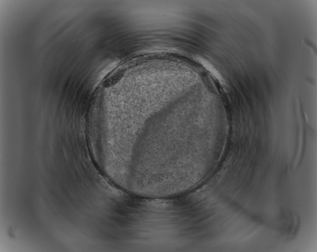 X0000091211329200709061432